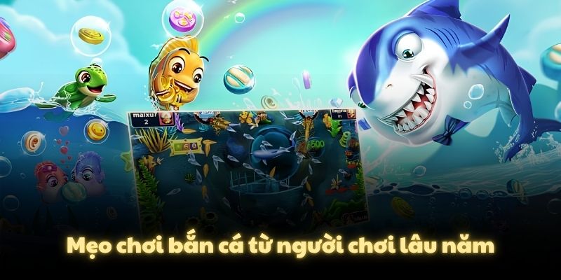 Mẹo chơi bắn cá từ người chơi lâu năm