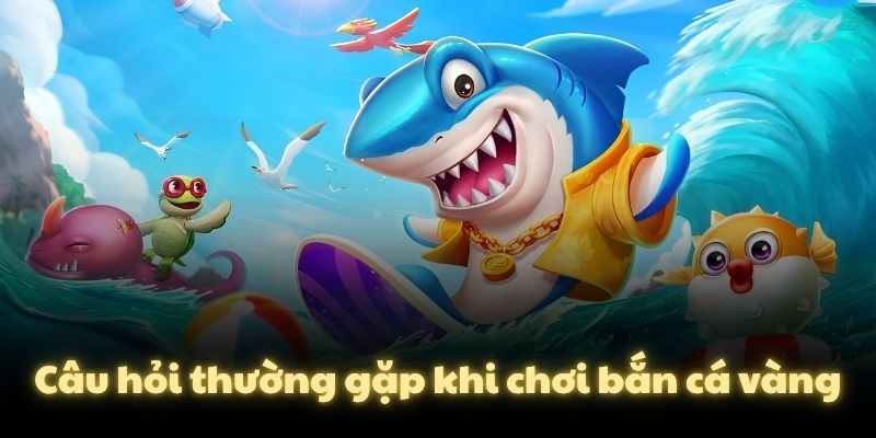 Câu hỏi thường gặp khi chơi bắn cá vàng