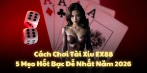Cách Chơi Tài Xỉu EX88: 5 Mẹo Hốt Bạc Dễ Nhất Năm 2026